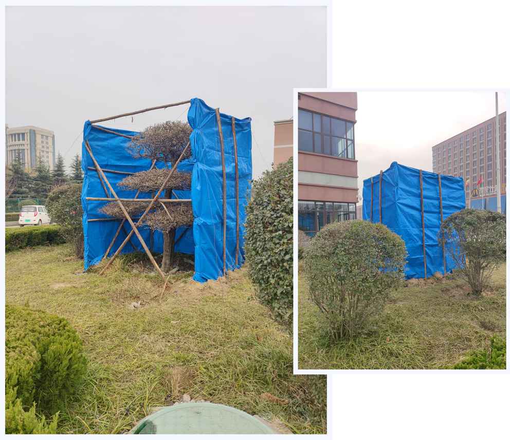 333444.jpg 333444.jpg